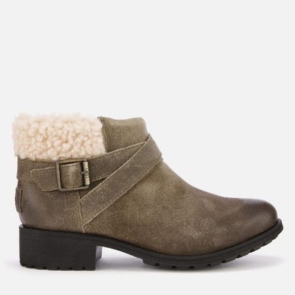 UGG Shoes - NWT UGG Benson Waterproof Booties in Dove